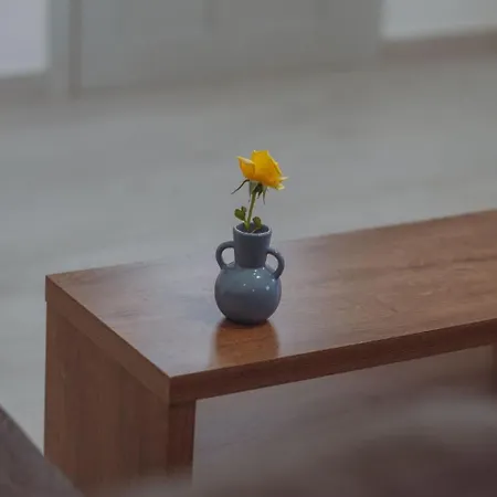 Apartman Rose House And *